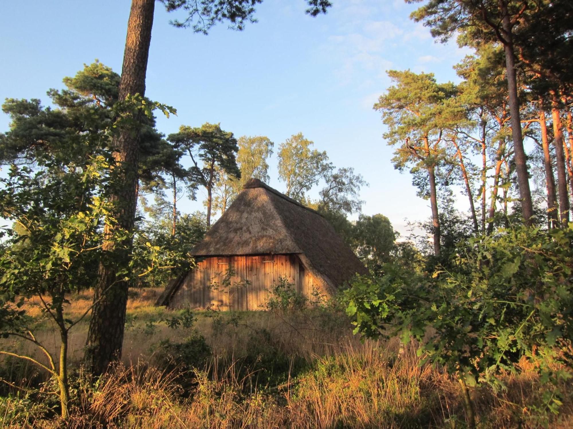 Haus Heidetal Panzió Bispingen Kültér fotó