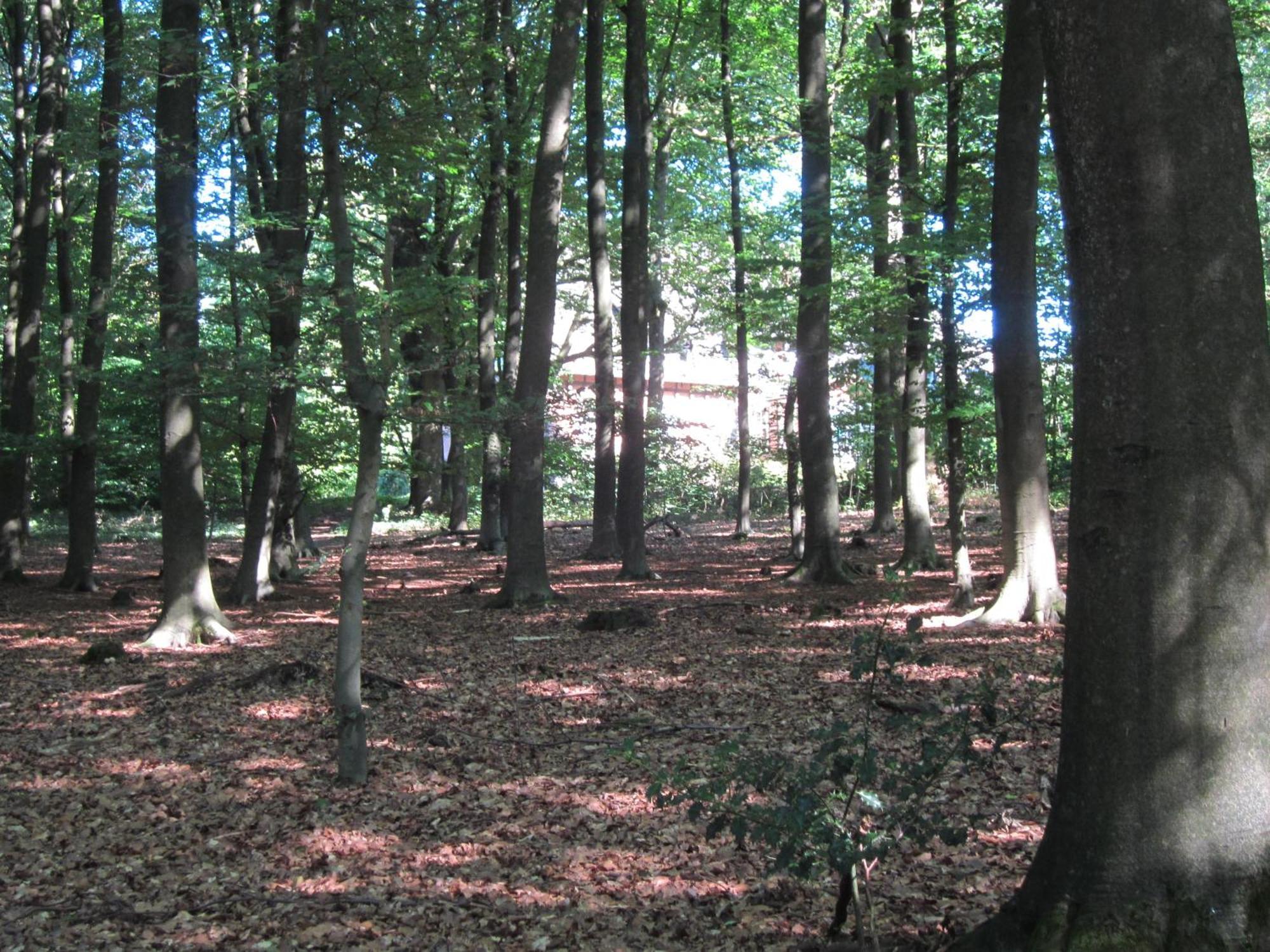 Haus Heidetal Panzió Bispingen Kültér fotó