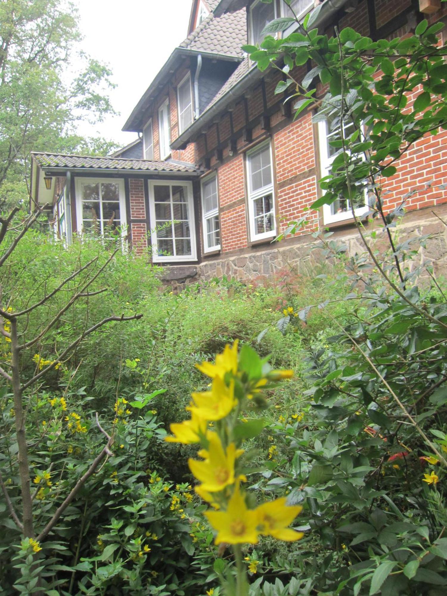Haus Heidetal Panzió Bispingen Kültér fotó