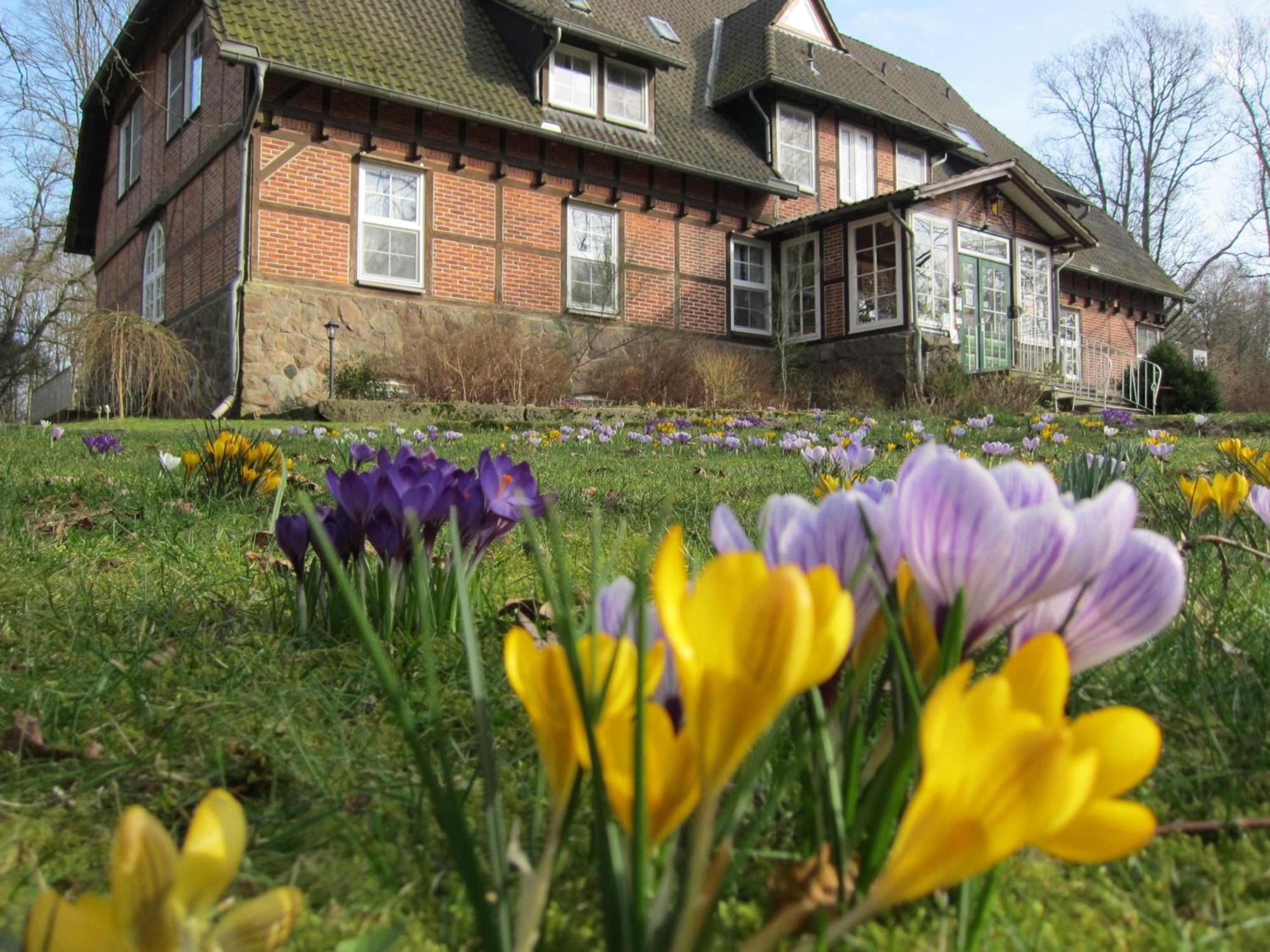 Haus Heidetal Panzió Bispingen Kültér fotó